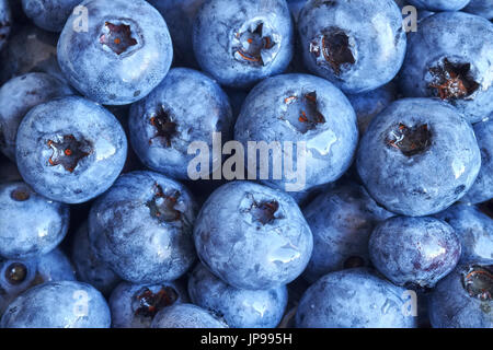 Nahaufnahme Bild von Reife und frische Blaubeeren, geringe Schärfentiefe. Stockfoto