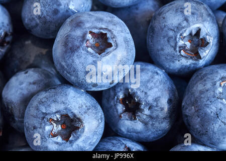 Extreme Nahaufnahme Bild von Reife und frische Blaubeeren, geringe Schärfentiefe. Stockfoto