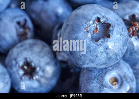 Extreme Nahaufnahme Bild von Reife und frische Blaubeeren, geringe Schärfentiefe. Stockfoto