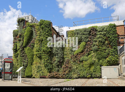 Eine Reife grüne Wand an der Seite der Edgware Road Bakerloo Linie u-Bahnstation Stockfoto