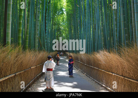 Japan, Kyoto City, Arashiyama Bereich, Bambu Holz Stockfoto