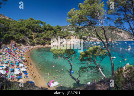 Spanien, Katalonien, Costa Brava, Tamariu Strand Stockfoto