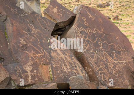 Schmierer Petroglyphen, Lakeview Bezirk Bureau of Landmanagement, Oregon Stockfoto