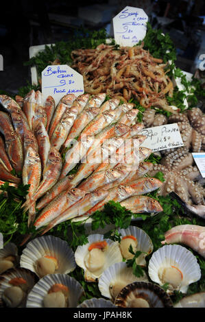 Verschiedene kulinarische Spezialitäten des Mittelmeers in der Anzeige eines Fischers in Venedig. Stockfoto