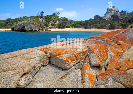 Stacky's Bucht in Killiecrankie Bay, Flinders Island Stockfoto