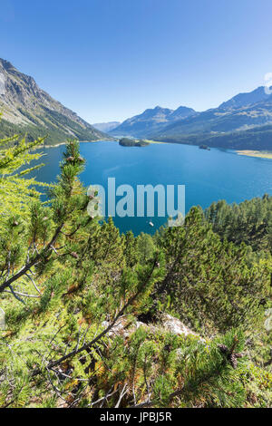 Blick auf den blauen Silsersee von Plaun da Lej Kanton Graubünden-Engadin-Schweiz-Europa Stockfoto