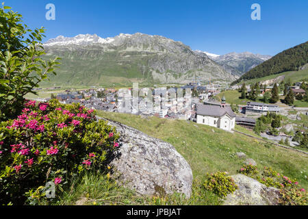 Rhododendren umrahmen das alpine Dorf Andermatt und den schneebedeckten Gipfeln im Hintergrund Kanton Uri der Schweiz Europa Stockfoto