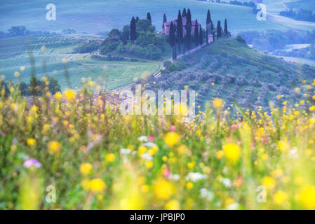 Europa, Italien, Belvedere Bauernhaus im Orcia-Tals, Provinz Siena, Tuscany District. Stockfoto