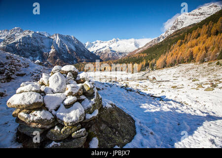 Felsen bedeckt mit Schnee umgeben von gelben Lärchen im Herbst Entova Alp Malenco Tal Sondrio Provinz Valtellina Lombardei Italien Europa Stockfoto