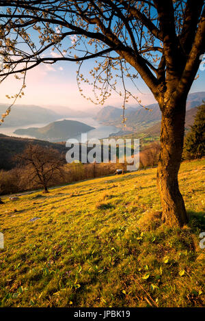 Sonnenuntergang über den Iseo See und Montisola, Brescia Provinz, Italien, Lombardei Bezirk, Europa. Stockfoto