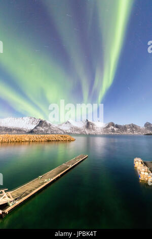 Nordlichter auf schneebedeckten Gipfeln und eisigen Meer entlang Mefjorden gesehen aus dem Dorf Mefjordvaer Senja Tromsø Norwegen Europa Stockfoto