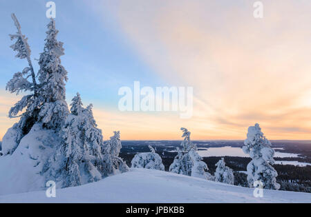 Die sonne Frames die verschneite Landschaft und Holz in der kalten arktischen Winter Ruka Kuusamo Österbotten Region Lappland Finnland Europa Stockfoto