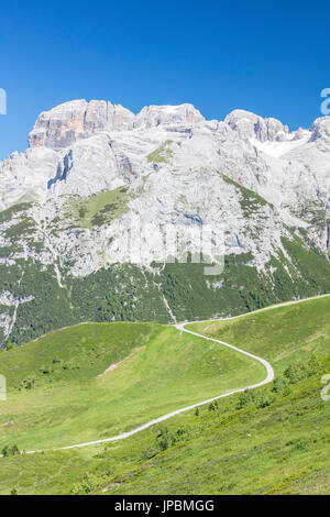 Grüne Wiesen umrahmen die felsigen Gipfeln Doss Del Sabion Pinzolo Brenta Dolomiten Trentino Alto Adige Italien Europa Stockfoto