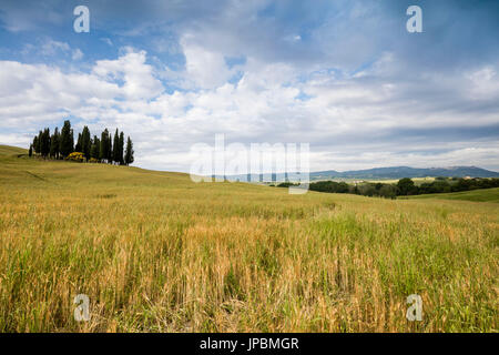 Wolken umrahmen die sanften grünen Hügeln des Val d ' Orcia Provinz von Siena Toskana Italien Europa Stockfoto