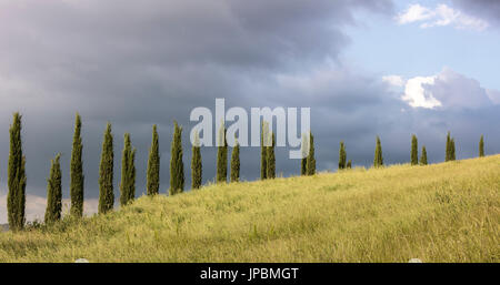 Wolken auf den grünen Hügeln umrahmt von Zypressen in Folge Crete Senesi (Senese Tone) Provinz von Siena Toskana Italien Europa Stockfoto