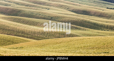 Die geschwungenen Formen der bunten Hügel von der Crete Senesi (Senese Tone) Provinz von Siena Toskana Italien Europa Stockfoto