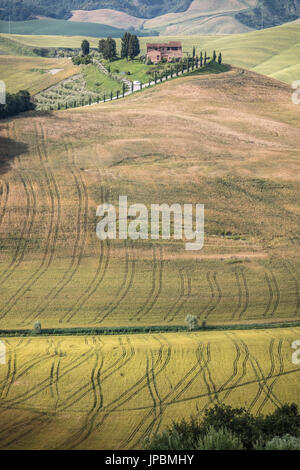 Die geschwungenen Formen der bunten Hügel von der Crete Senesi (Senese Tone) Provinz von Siena Toskana Italien Europa Stockfoto