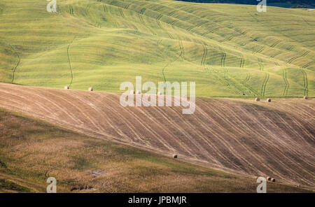 Die geschwungenen Formen der bunten Hügel von der Crete Senesi (Senese Tone) Provinz von Siena Toskana Italien Europa Stockfoto