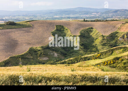 Die geschwungenen Formen der bunten Hügel von der Crete Senesi (Senese Tone) Provinz von Siena Toskana Italien Europa Stockfoto