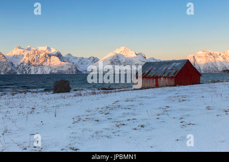 Traditionelles rotes Haus mit Blick auf den Fjord. Hammarvika, Lyngenfjord, Lyngen Alpen, Troms, Norwegen, Lappland, Europas. Stockfoto