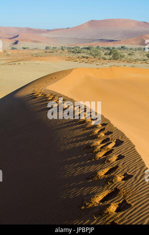 Sossusvlei, Namib-Wüste, Namibia, Afrika. Stockfoto