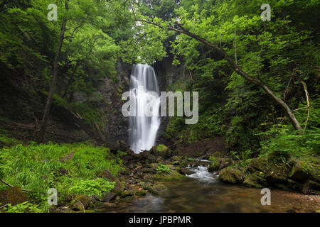 Der Wasserfall namens Pesegh oder Pesech, erstellt von den Torrent Valmolina in Brinzio, Valcuvia, Parco del Campo dei Fiori, Bezirk Varese, Lombardei, Italien. Stockfoto