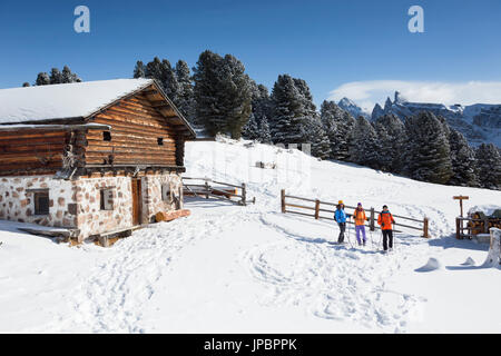 eine Gruppe von Wanderern während ein Schneeschuh Wandern im Val Gardena, Provinz Bozen, Südtirol, Trentino Alto Adige, Italien, Europa, Stockfoto