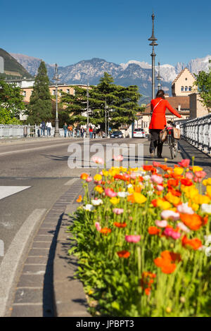 ein Blick auf die Talferwiesen Brücke mit der Altstadt und den Dolomiten im Hintergrund Provinz Bozen, Südtirol, Trentino Alto Adige, Italien, Europa, Stockfoto