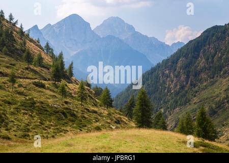 Blick auf den Pizzo Camino vom Passo del Vivione, Gesamte10, Val di Scalve, Bergamo Bezirk, Lombardei, Italien. Stockfoto