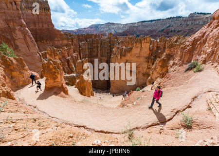 Wanderer auf Wall Street Teil der Navajo Loop Trail. Bryce Canyon Nationalpark, Garfield County, Utah, USA. Stockfoto