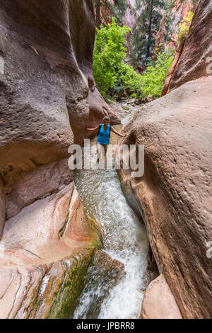 Frau Wandern in Kanarra Creek Canyon, Kanarraville, Iron County, Utah, USA. Stockfoto