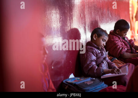 Matho Kloster, Industal, Ladakh, Indien, Asien. Die Mönche lernen in der Klosterschule. Stockfoto