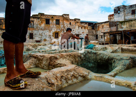 Fes, Marokko, Afrika. Das alte Handwerk des Leder färben. Stockfoto