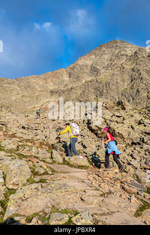 Stubaier Alpen, Tirol, Österreich. Bergsteiger auf dem Aufstieg zum Gipfel des Habicht in den Stubaier Alpen Stockfoto