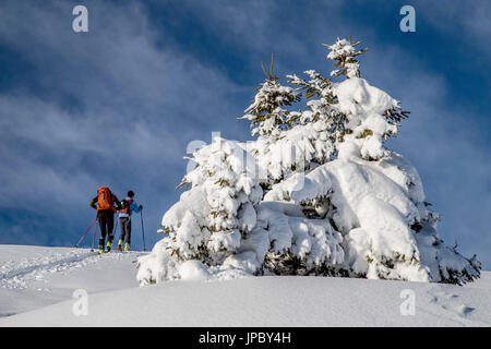Alpin-Skifahrer durch die verschneite Landschaft Gerola Tal Valtellina Orobie Alpen Lombardei Italien Europa Stockfoto