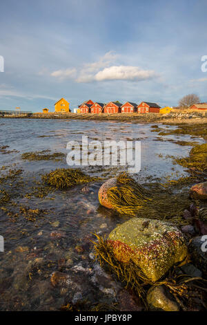 Die Farben der Dämmerung leuchten die Häuser der Fischer Flatanger Trøndelag Norwegen Europa Stockfoto