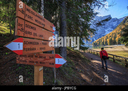 Wanderer geht in die herbstliche Landschaft rund um Lake Pragser natürlichen Park von Fanes Sennes Bozen Trentino Alto Adige Italien Europa Stockfoto