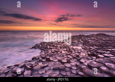 Sonnenuntergang über den Basalt Felsformationen des Giant's Causeway auf der Küste Nordirlands. Stockfoto