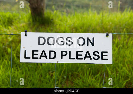 Hunde auf Blei-Zeichen auf einem Campingplatz im Snowdonia National Park, Wales Stockfoto