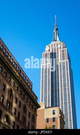 Das Empire State Building gesehen von der 5th Avenue an einem strahlend blauen Himmel-Tag Stockfoto