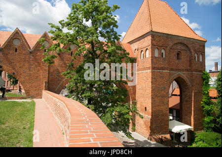 Dansker des Deutschen Ritterordens Burgruine in der Altstadt von Torun aufgeführten Weltkulturerbe der UNESCO in Torun, Polen. 18. Juni 2017 © Wojciech Stro Stockfoto