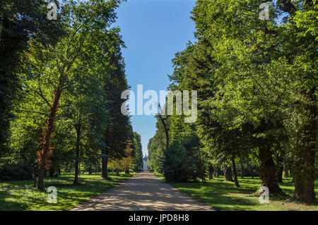 Park Sanssouci. Die Hauptalle Blick in Richtung Neues Palais, Potsdam, Brandenburg, Deutschland Stockfoto