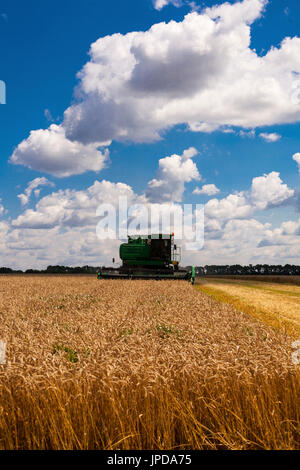 Kombinieren Sie Maschine ist Ernte Hafer auf Feld-Hof Stockfoto