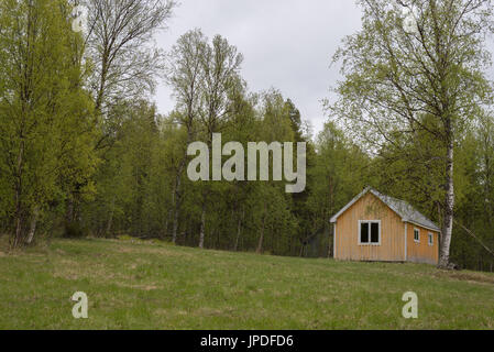 Alten, verlassenen kleinen gelben Haus im Wald Stockfoto