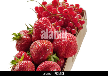 Weidenkorb mit reife Erdbeeren und roten Johannisbeeren. Close-up. Auf weißem Hintergrund zu isolieren. Die horizontalen Rahmen. Stockfoto