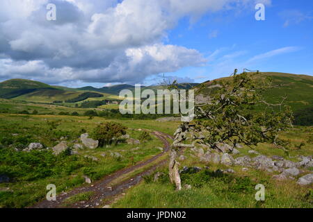 St. Cuthberts Weg, Hethpool, Northumberland Stockfoto