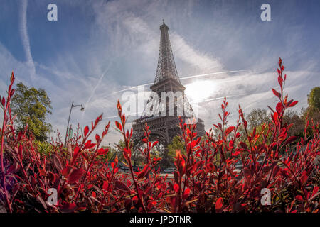 Eiffelturm im Frühling in Paris, Frankreich Stockfoto