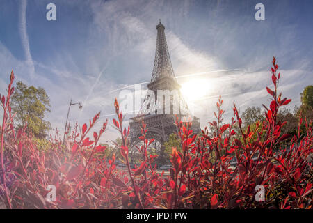 Eiffelturm im Frühling in Paris, Frankreich Stockfoto