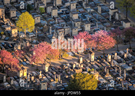 Luftaufnahme des Montparnasse Frühlings-Friedhof in Paris, Frankreich Stockfoto