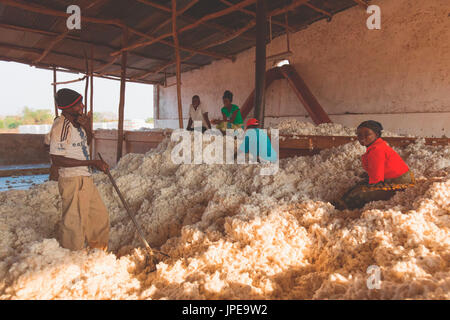 Afrika, Malawi, Balaka Bezirk. Baumwollverarbeitung Stockfoto